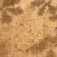 Oval Placemats, Set of 2, close-up of the cork grain
