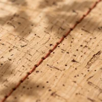 Passport Cover, close-up of the cork grain