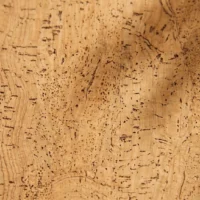 Rectangular Placemats, Set of 2, close-up of the cork grain