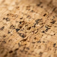 Rectangular Placemats, Set of 4, close-up of the cork grain