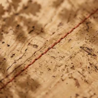 Stitched Placemats, Set of 2, close-up of the cork grain